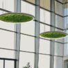 Luce Verde Slim