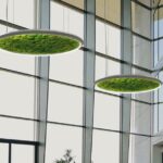 Luce Verde Slim