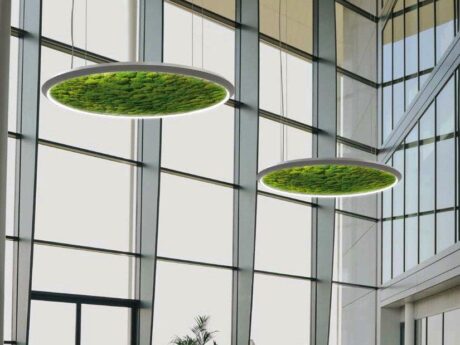 Luce Verde Slim