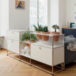 World Of Plants For Haller