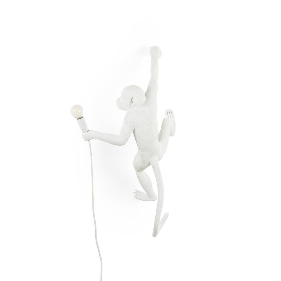 The Monkey Lamp Hanging уличный настенный светильник Seletti