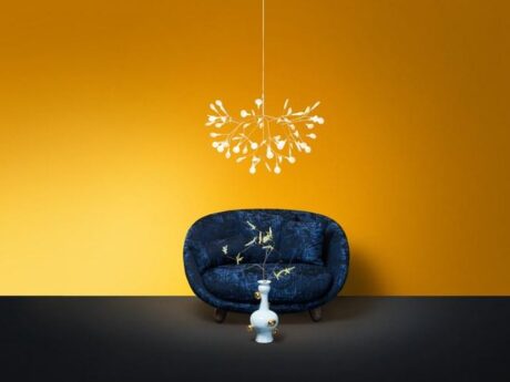 Heracleum Ii