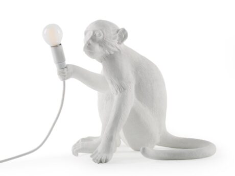 The Monkey Lamp Sitting