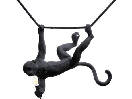 The Monkey Lamp Swing