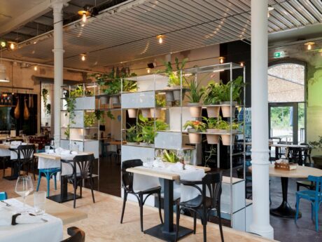 World Of Plants For Haller