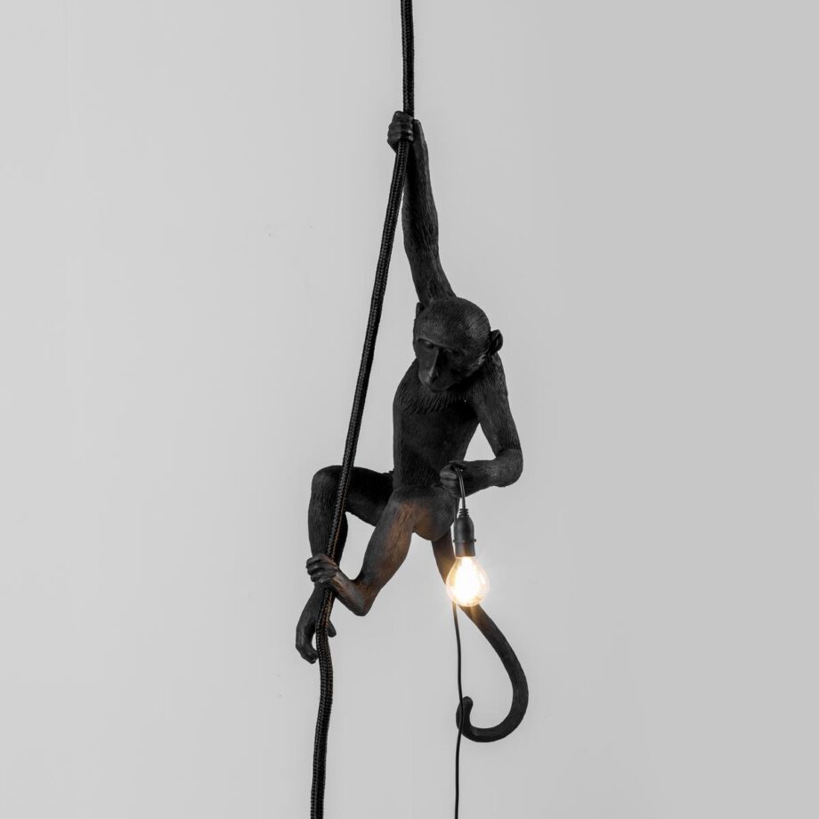 The Monkey Lamp Black Ceiling уличный подвесной светильник Seletti