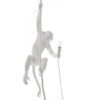 The Monkey Lamp Ceiling