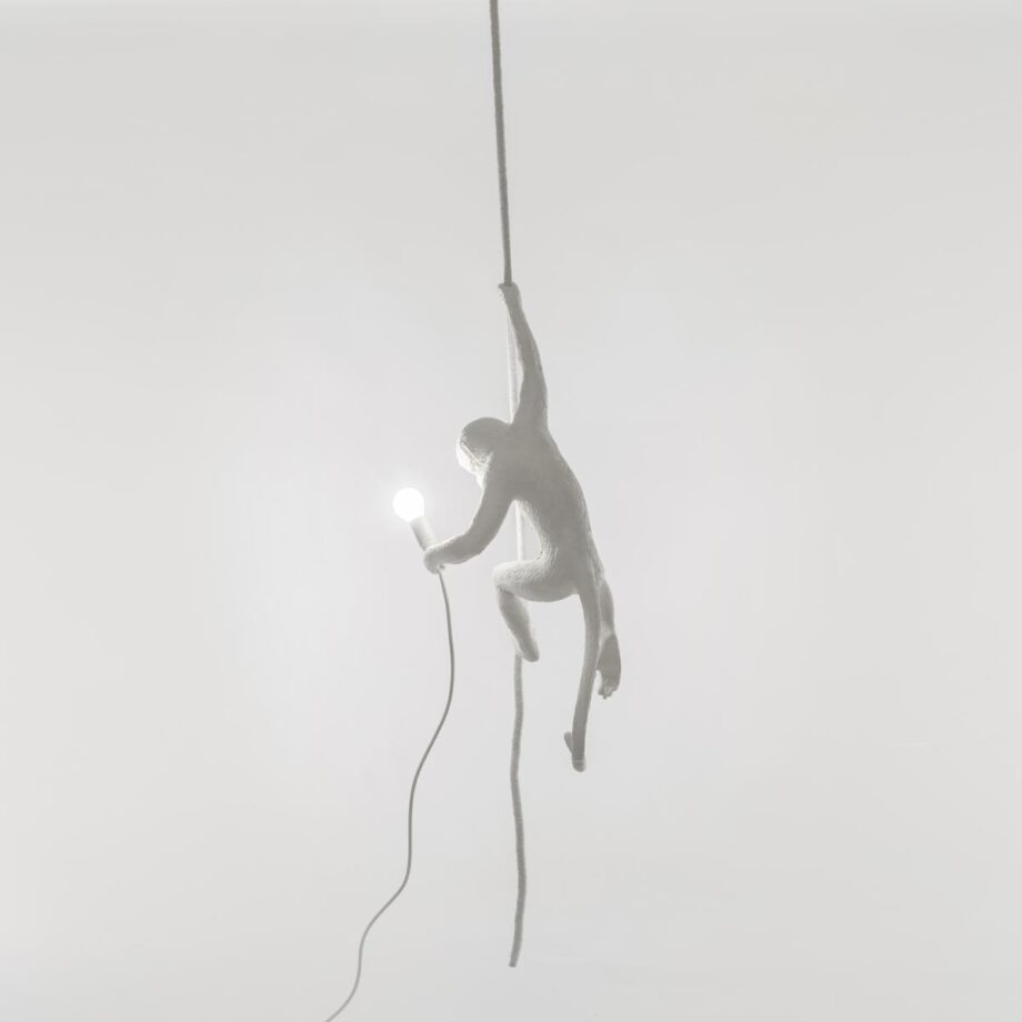 The Monkey Lamp Ceiling уличный подвесной светильник Seletti