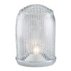 Car Light