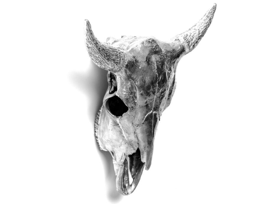 Bison Skull декоративный предмет Seletti