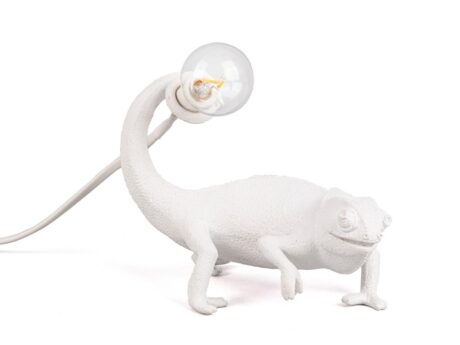 Chameleon Still