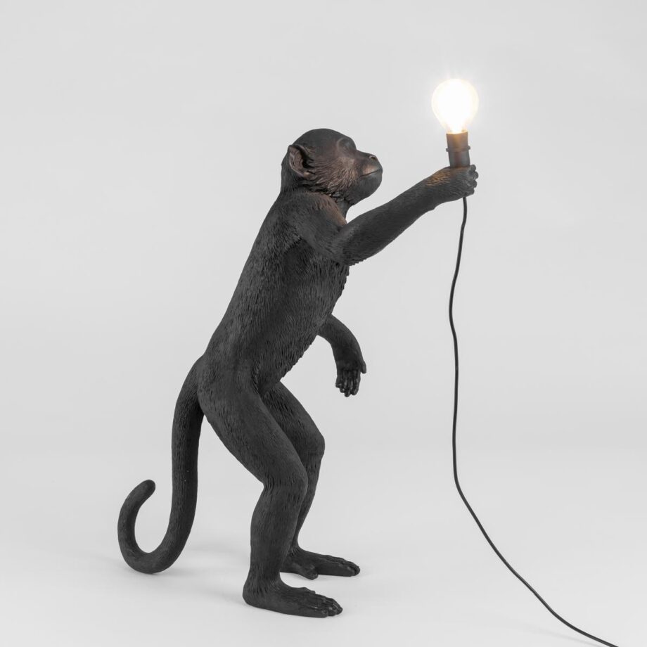 The Monkey Lamp Black Standing уличный торшер Seletti