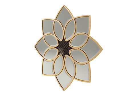 Petali 6293