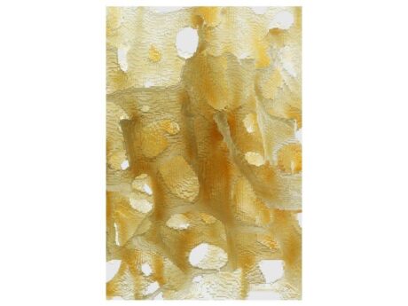Cellular