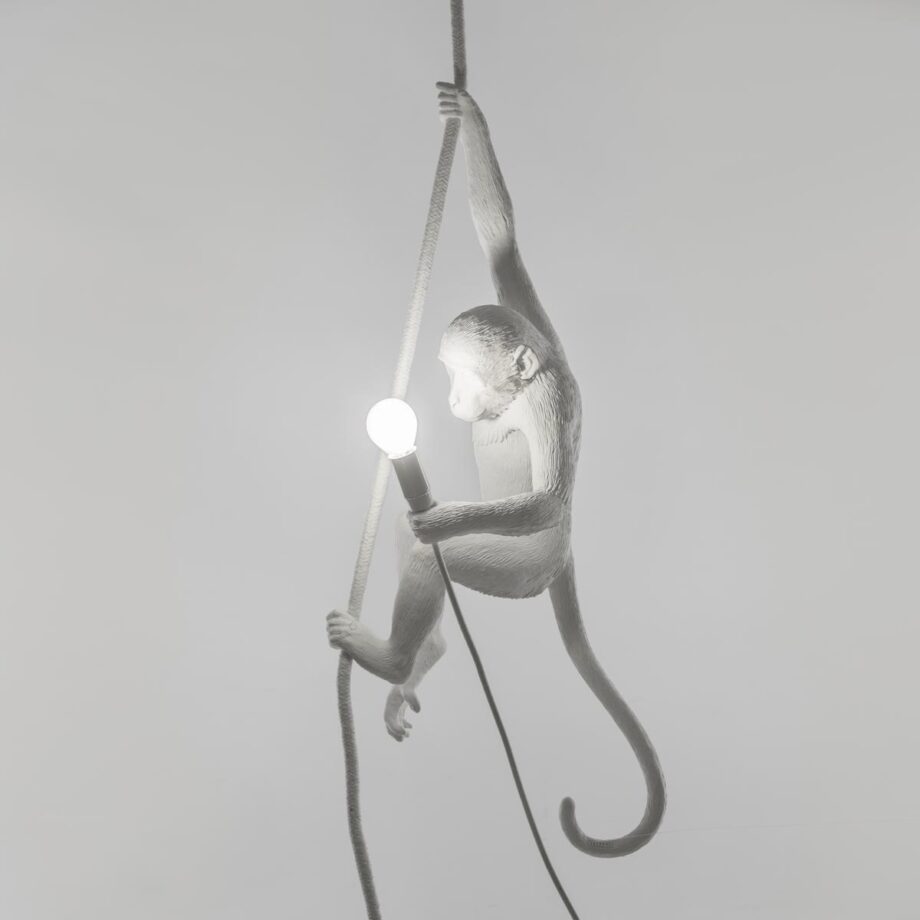 The Monkey Lamp Ceiling уличный подвесной светильник Seletti