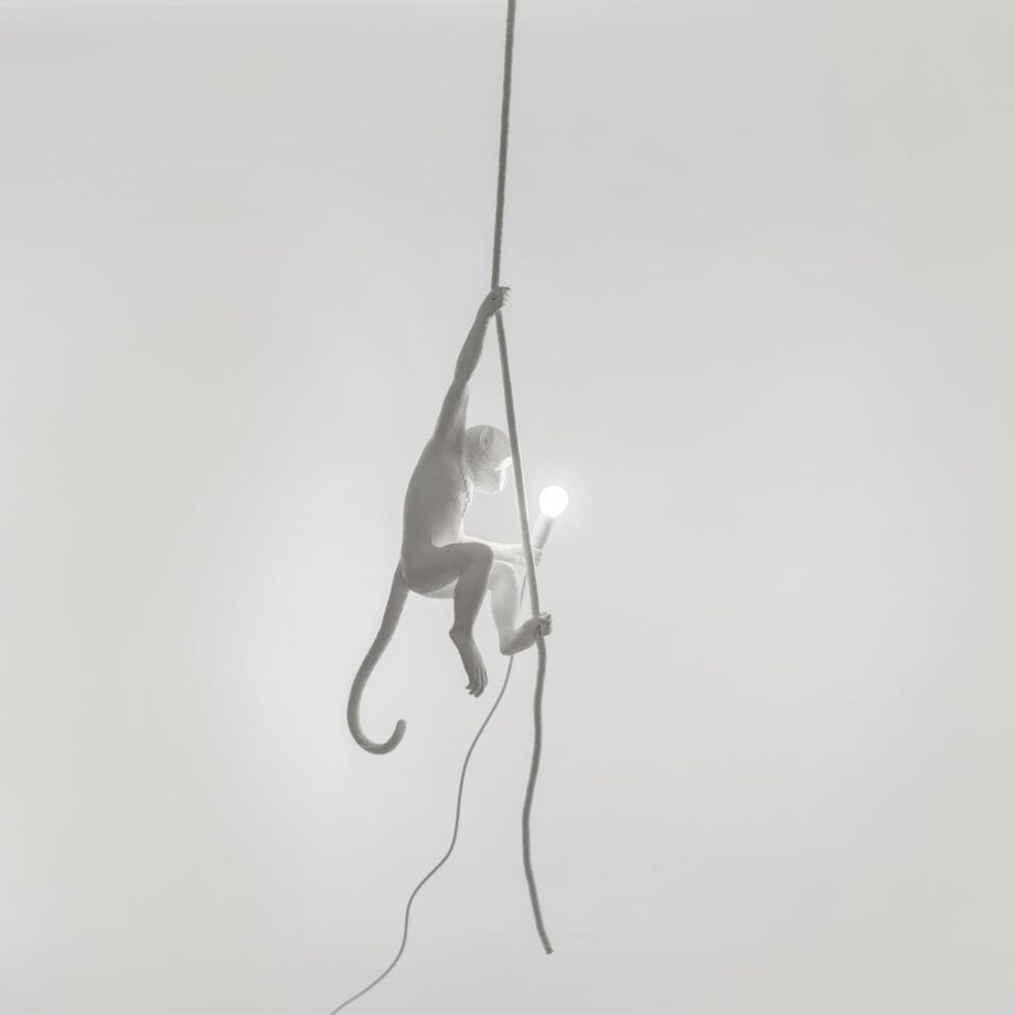 The Monkey Lamp Ceiling уличный подвесной светильник Seletti