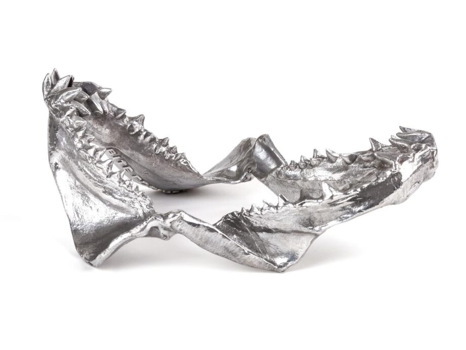 Shark Jaw декоративный предмет Seletti