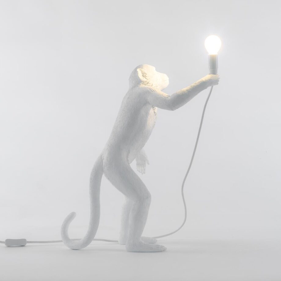 The Monkey Lamp Standing уличный торшер Seletti