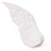 Wing