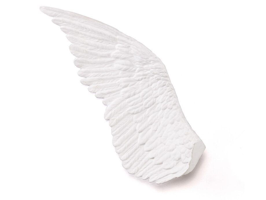 Wing декоративный предмет Seletti