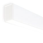Fifty Ho Wall Custom