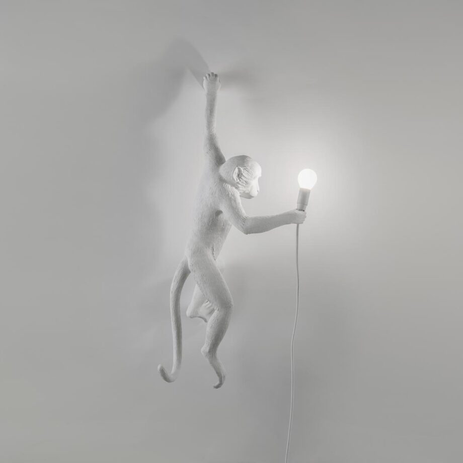 The Monkey Lamp Hanging уличный настенный светильник Seletti