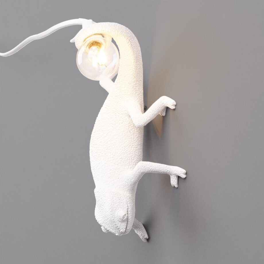 Chameleon Going Down настенный светильник Seletti