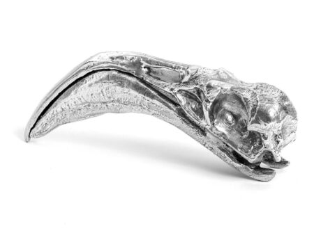 Flamingo Skull