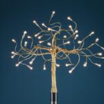 Albero Della Luce