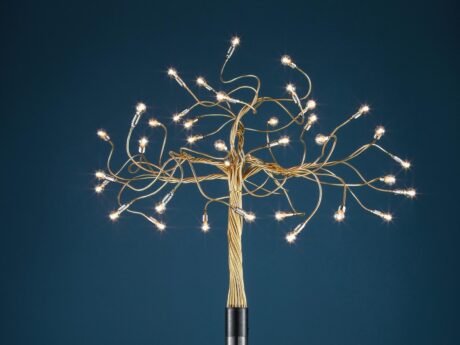 Albero Della Luce