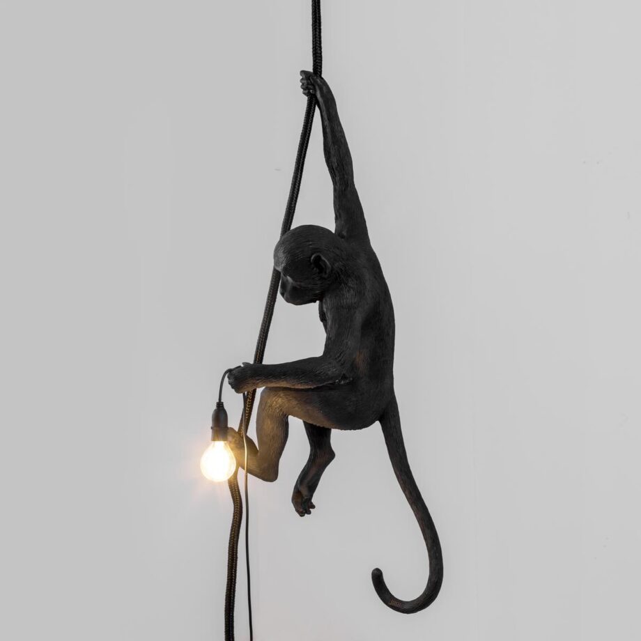 The Monkey Lamp Black Ceiling уличный подвесной светильник Seletti