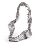 Shark Jaw