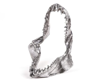 Shark Jaw