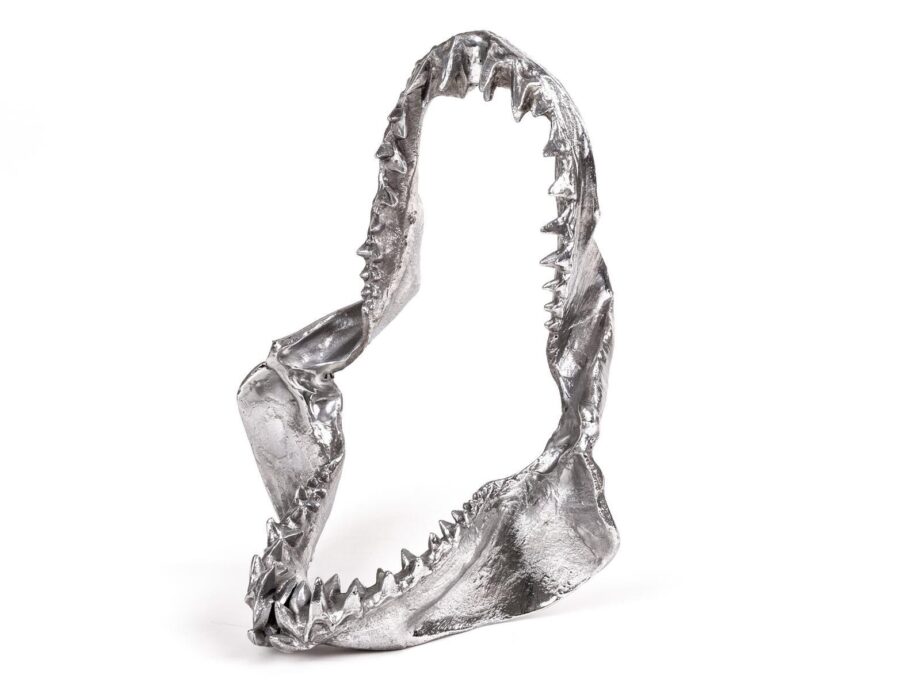 Shark Jaw декоративный предмет Seletti