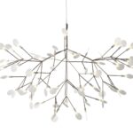Heracleum Ii