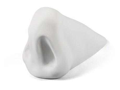 Nose