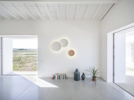 Puck Wall Art Single