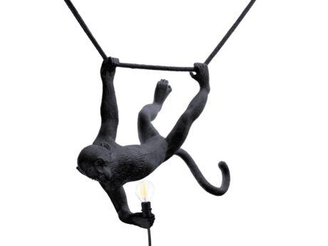 The Monkey Lamp Swing