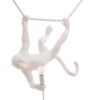 The Monkey Lamp Swing