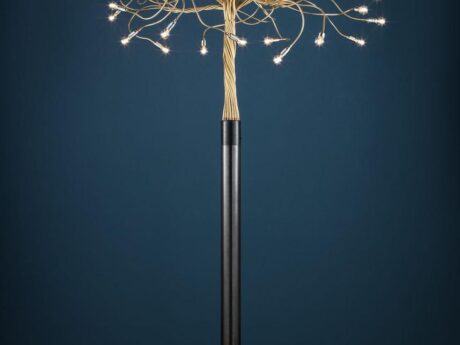 Albero Della Luce