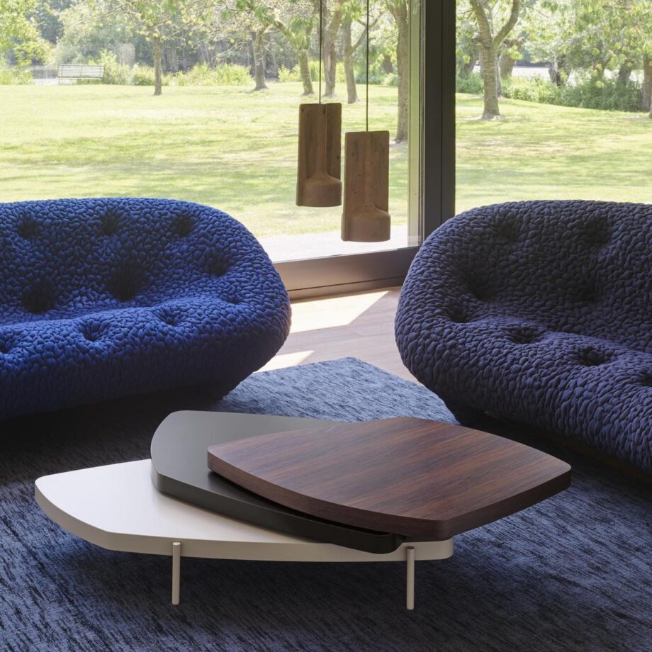 Mold подвесной светильник Ligne Roset