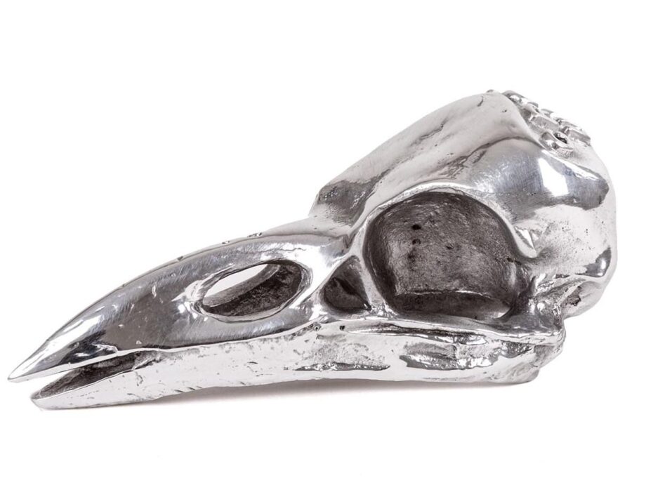 Bird Skull декоративный предмет Seletti