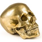 Human Skull