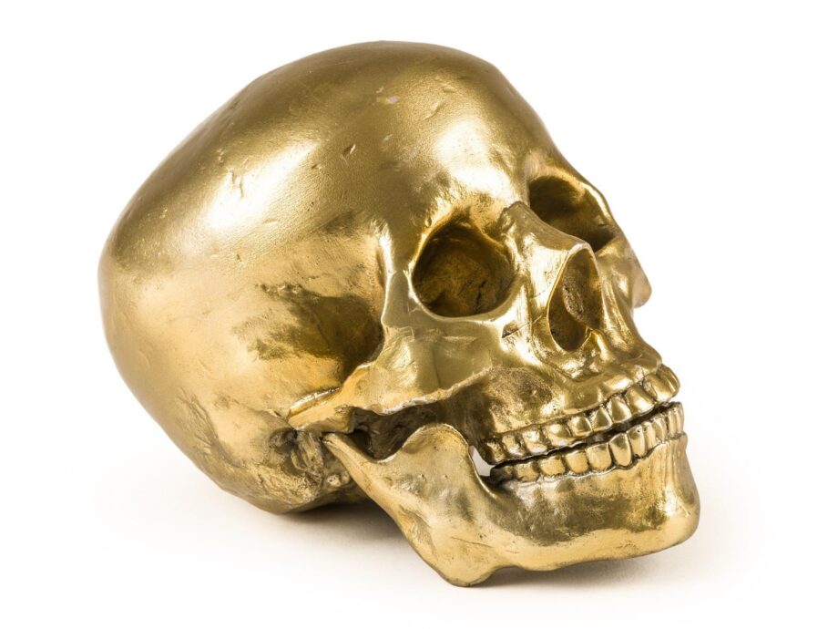 Human Skull декоративный предмет Seletti