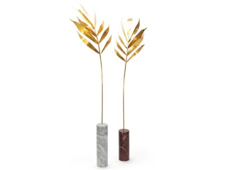 Kentia Palm