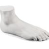 Male Foot