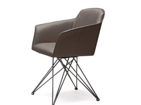 Flaminia