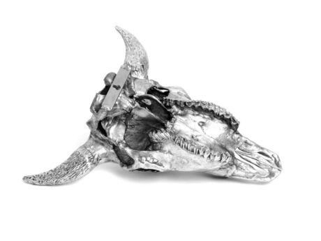 Bison Skull
