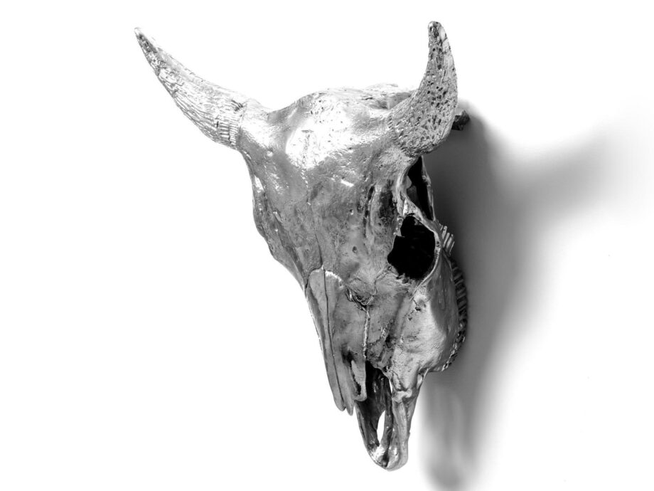 Bison Skull декоративный предмет Seletti