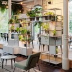 World Of Plants For Haller